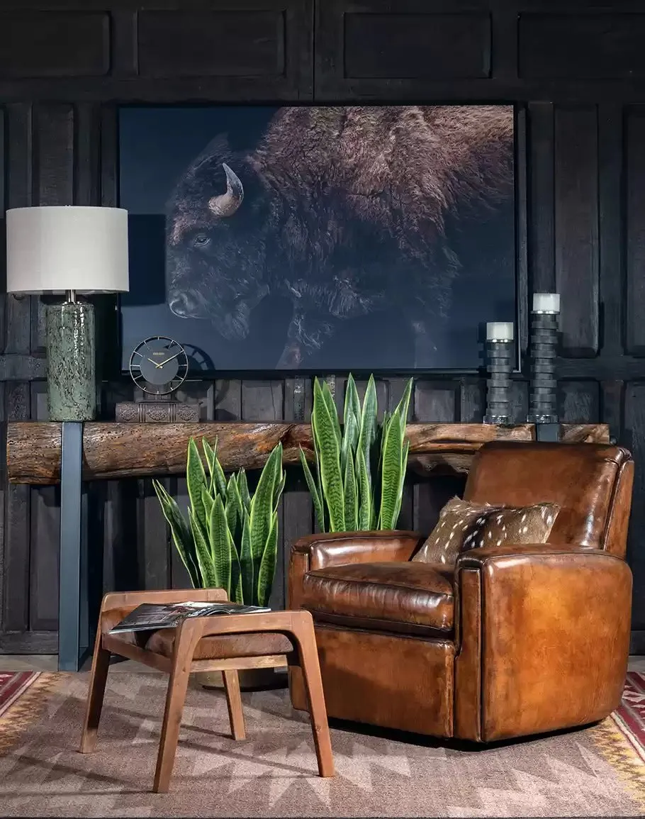 American Bison Framed Canvas Art