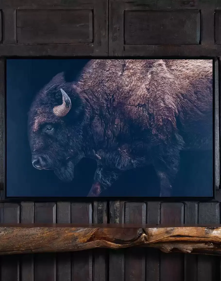 American Bison Framed Canvas Art