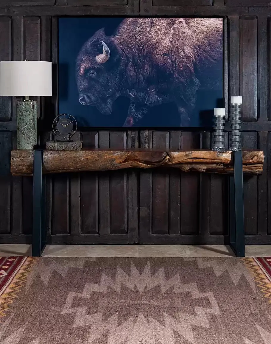 American Bison Framed Canvas Art