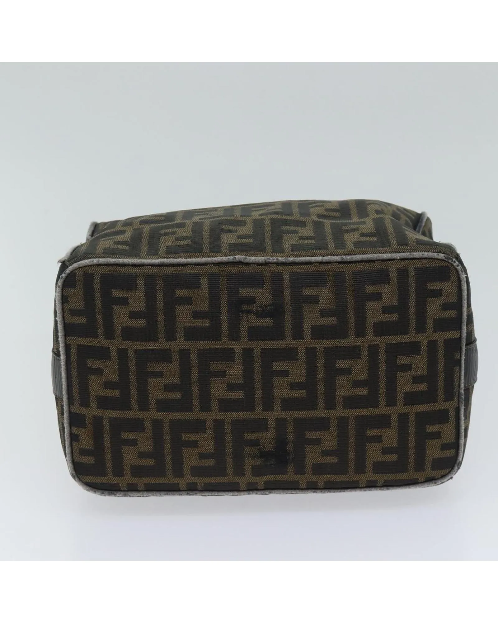 Canvas Vanity Hand Bag with FENDI Zucca Print Design