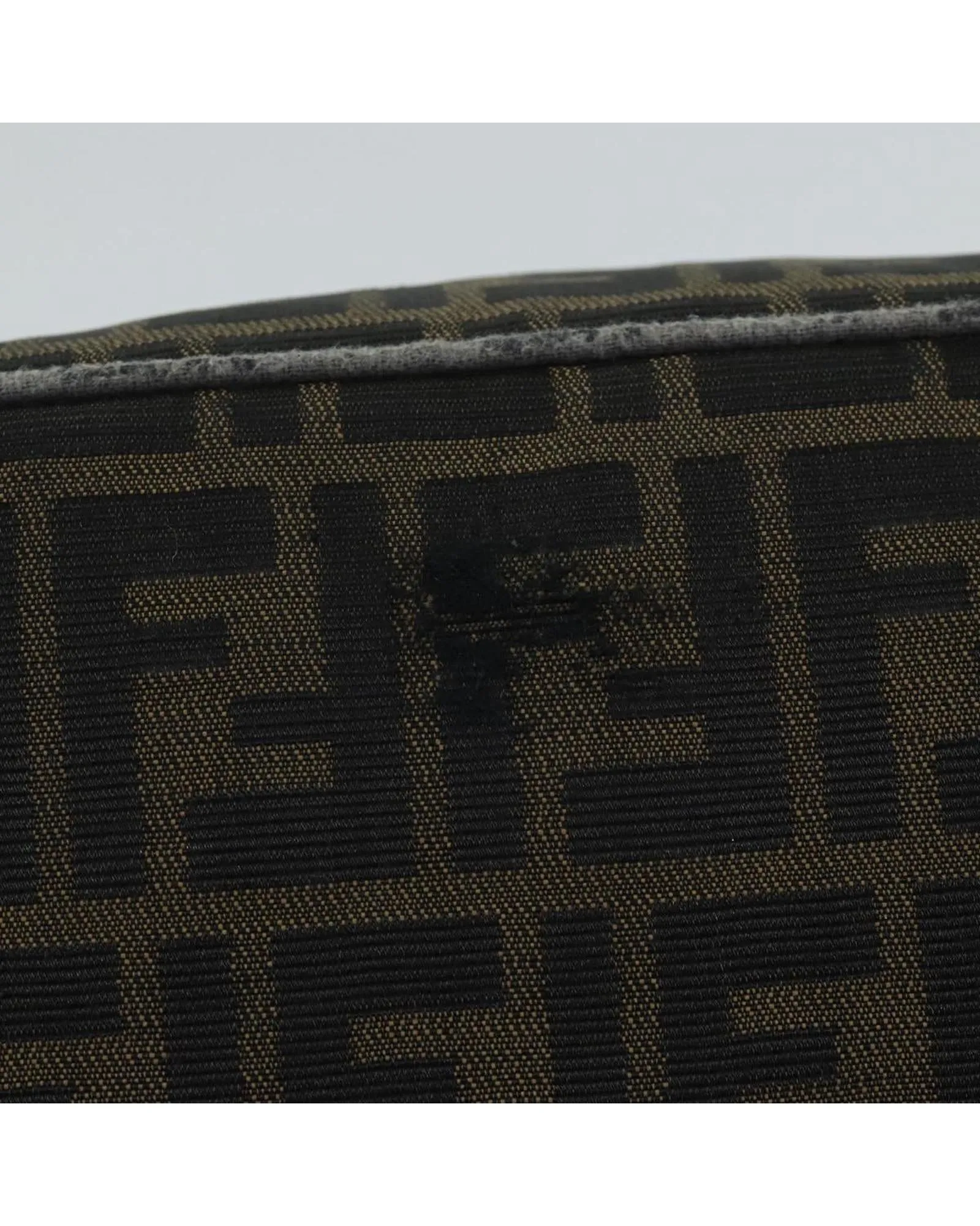 Canvas Vanity Hand Bag with FENDI Zucca Print Design