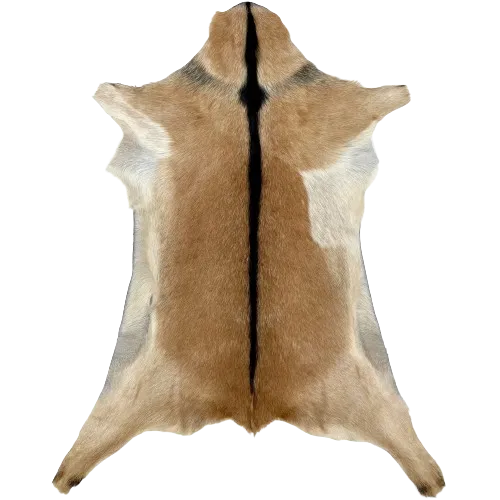 Caramel and Off-White Goatskin - 2'11" x 2'2" (GOAT357)