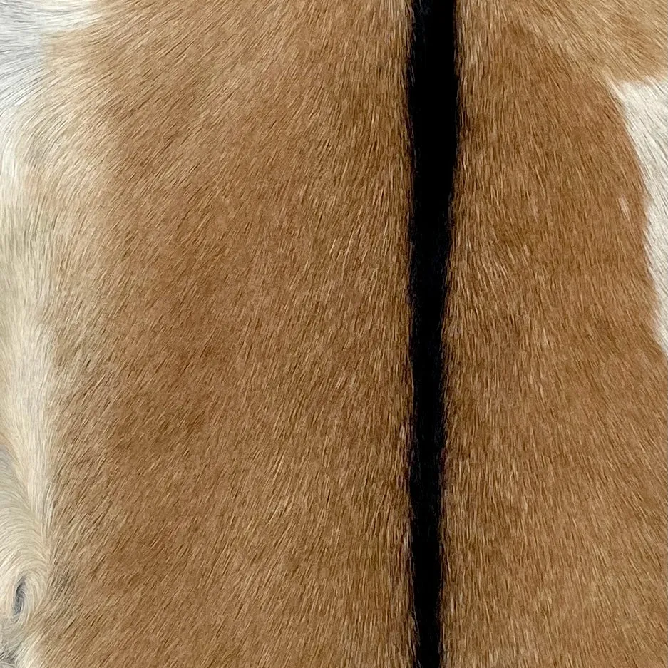 Caramel and Off-White Goatskin - 2'11" x 2'2" (GOAT357)