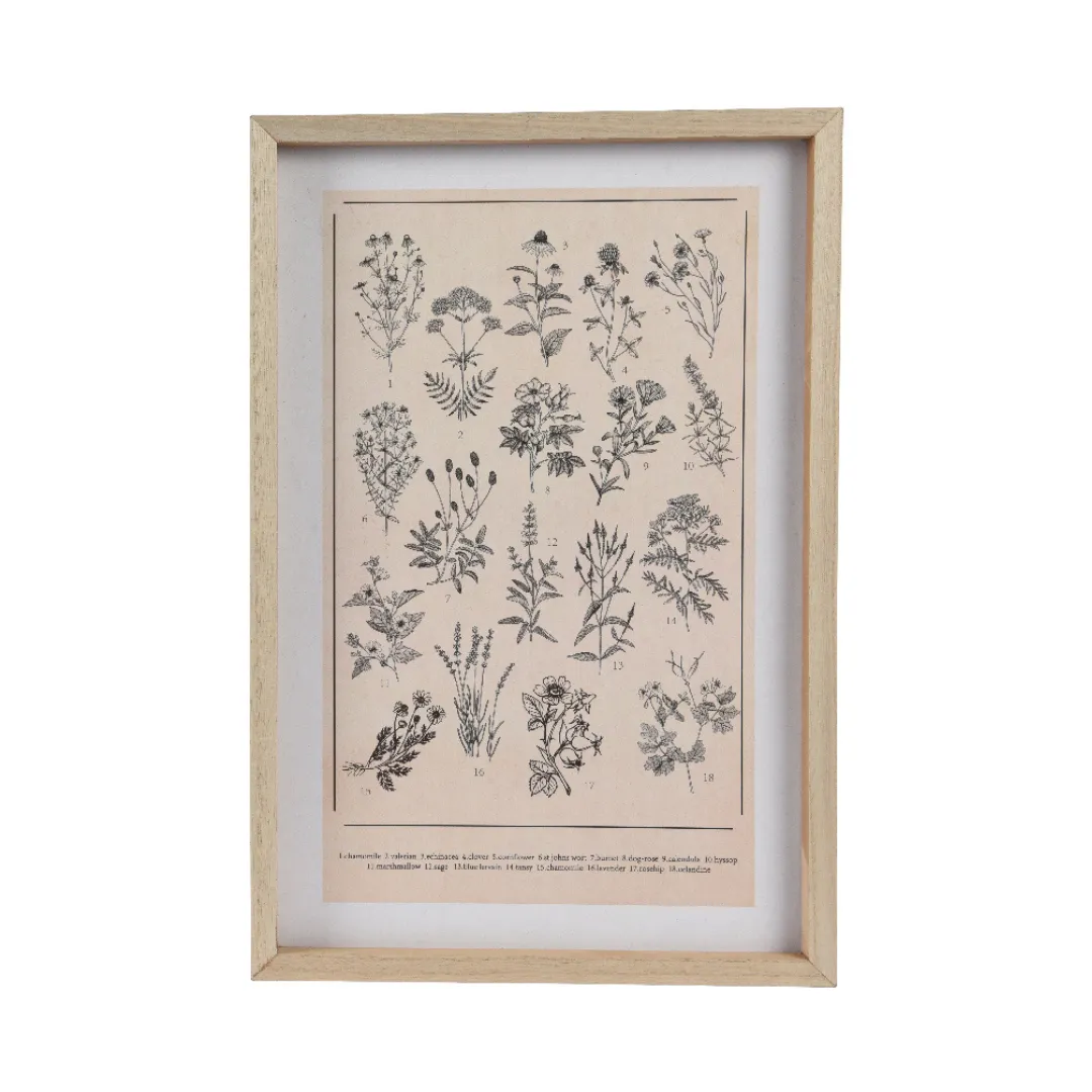 Framed plant atlas (2 Styles)