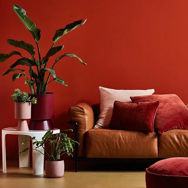Palm Springs Medium Planters by Lightly