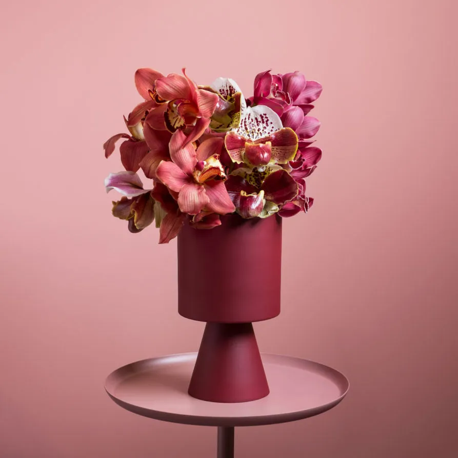 Palm Springs Medium Planters by Lightly
